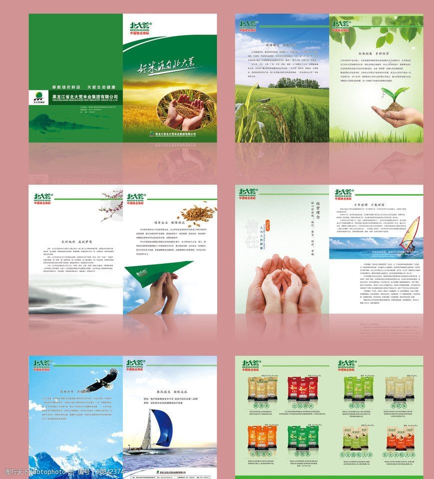 绿色有机农产品 健康餐桌的守护者