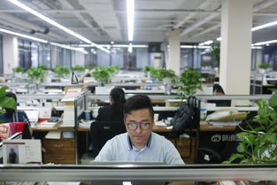 高考工厂毕业生后来都混得咋样？律师职业的视角